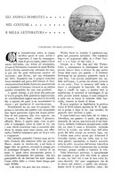 giornale/TO00189526/1904/unico/00000509