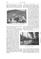 giornale/TO00189526/1904/unico/00000714