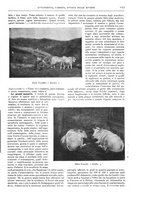 giornale/TO00189526/1904/unico/00000727