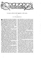 giornale/TO00189526/1904/unico/00001005