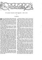 giornale/TO00189526/1904/unico/00001013