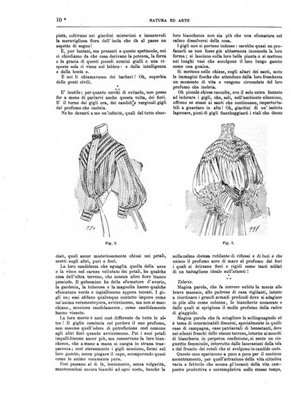 Natura ed arte rivista illustrata quindicinale italiana e straniera di scienze, lettere ed arti