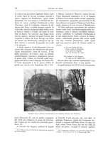 giornale/TO00189526/1905-1906/unico/00000030