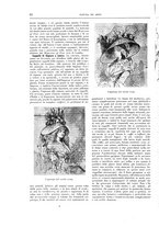 giornale/TO00189526/1905-1906/unico/00000080