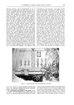 giornale/TO00189526/1905-1906/unico/00000085