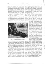 giornale/TO00189526/1905-1906/unico/00000162