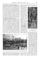 giornale/TO00189526/1905-1906/unico/00000163