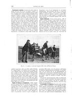 giornale/TO00189526/1905-1906/unico/00000166