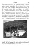 giornale/TO00189526/1905-1906/unico/00000183