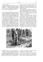 giornale/TO00189526/1905-1906/unico/00000207