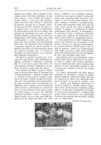 giornale/TO00189526/1905-1906/unico/00000216