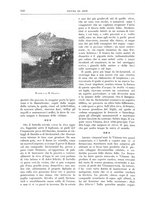 giornale/TO00189526/1905-1906/unico/00000286