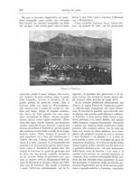 giornale/TO00189526/1905-1906/unico/00000290