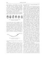 giornale/TO00189526/1905-1906/unico/00000294