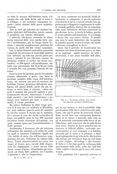 Natura ed arte rivista illustrata quindicinale italiana e straniera di scienze, lettere ed arti