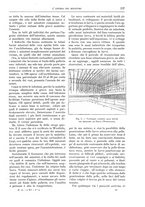 giornale/TO00189526/1905-1906/unico/00000295