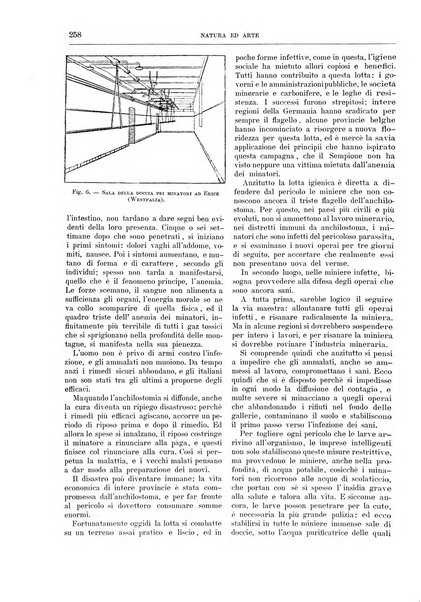 Natura ed arte rivista illustrata quindicinale italiana e straniera di scienze, lettere ed arti