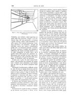 giornale/TO00189526/1905-1906/unico/00000296