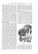 giornale/TO00189526/1905-1906/unico/00000323