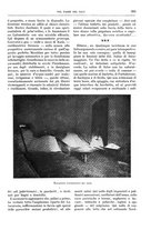 giornale/TO00189526/1905-1906/unico/00000347