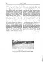 giornale/TO00189526/1905-1906/unico/00000502