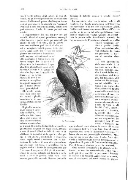 Natura ed arte rivista illustrata quindicinale italiana e straniera di scienze, lettere ed arti