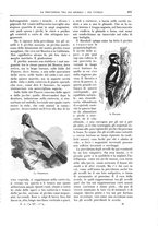 giornale/TO00189526/1905-1906/unico/00000539