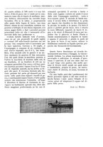 giornale/TO00189526/1905-1906/unico/00000761