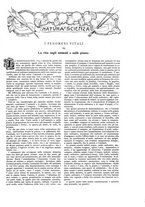 giornale/TO00189526/1905-1906/unico/00001013