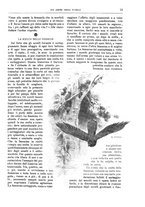 giornale/TO00189526/1905/unico/00000027