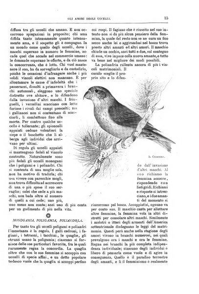 Natura ed arte rivista illustrata quindicinale italiana e straniera di scienze, lettere ed arti