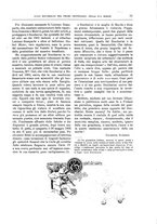 giornale/TO00189526/1905/unico/00000037