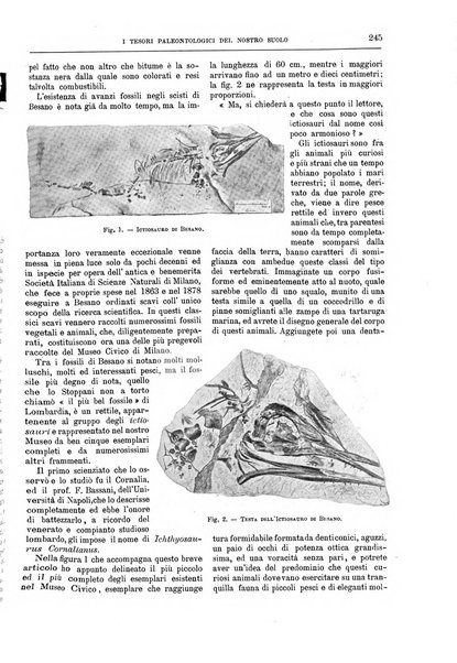 Natura ed arte rivista illustrata quindicinale italiana e straniera di scienze, lettere ed arti