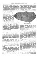 giornale/TO00189526/1905/unico/00000285