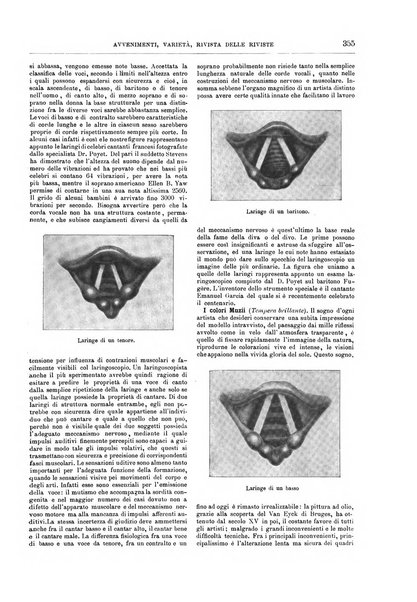 Natura ed arte rivista illustrata quindicinale italiana e straniera di scienze, lettere ed arti