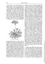 giornale/TO00189526/1905/unico/00000464