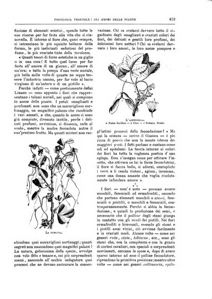 Natura ed arte rivista illustrata quindicinale italiana e straniera di scienze, lettere ed arti