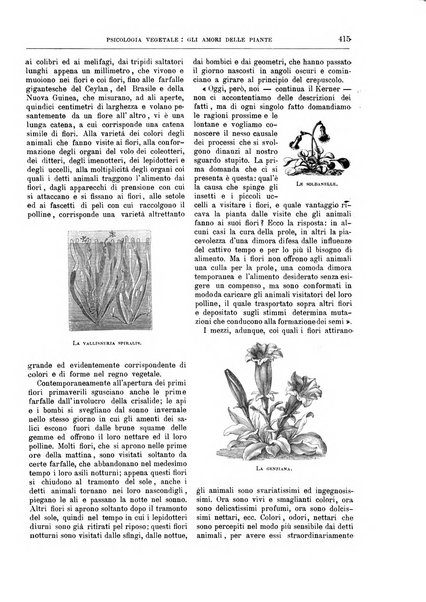 Natura ed arte rivista illustrata quindicinale italiana e straniera di scienze, lettere ed arti