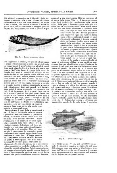 Natura ed arte rivista illustrata quindicinale italiana e straniera di scienze, lettere ed arti