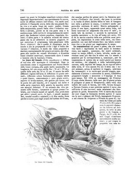 Natura ed arte rivista illustrata quindicinale italiana e straniera di scienze, lettere ed arti