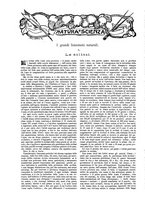 giornale/TO00189526/1905/unico/00000976