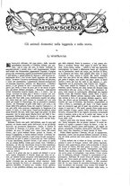 giornale/TO00189526/1905/unico/00000989