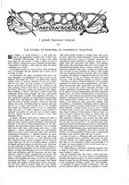 giornale/TO00189526/1905/unico/00001031