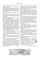 giornale/TO00189526/1907-1908/unico/00000029