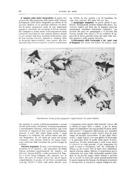 Natura ed arte rivista illustrata quindicinale italiana e straniera di scienze, lettere ed arti