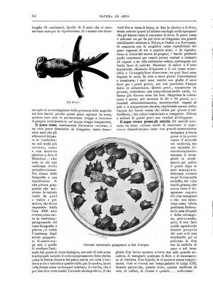 Natura ed arte rivista illustrata quindicinale italiana e straniera di scienze, lettere ed arti