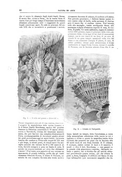 Natura ed arte rivista illustrata quindicinale italiana e straniera di scienze, lettere ed arti