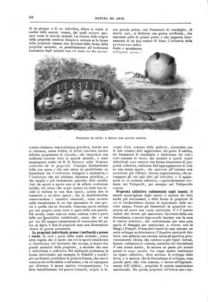 Natura ed arte rivista illustrata quindicinale italiana e straniera di scienze, lettere ed arti