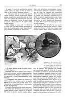 giornale/TO00189526/1907-1908/unico/00000539