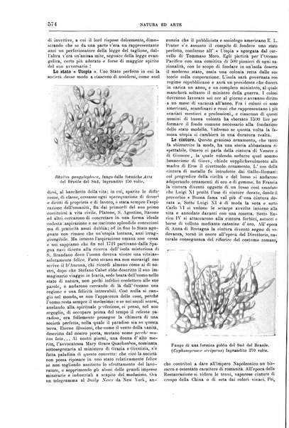 Natura ed arte rivista illustrata quindicinale italiana e straniera di scienze, lettere ed arti